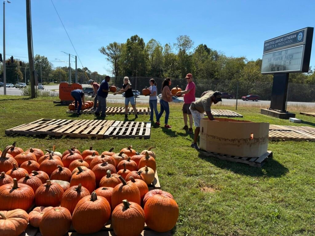 2025 Pumpkin Patch