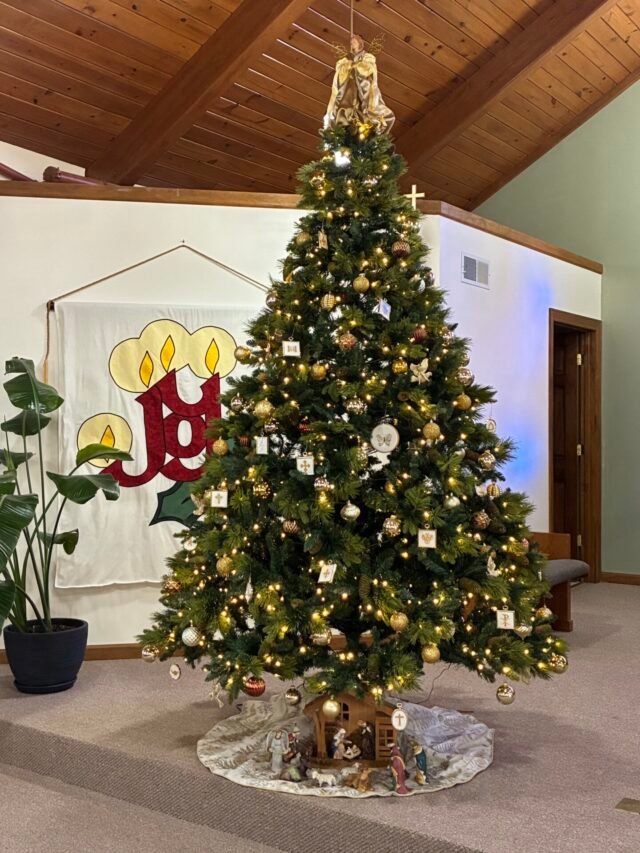 Christmas tree in sanctuary