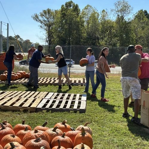 Setting Up For 2025 Pumpkin Patch