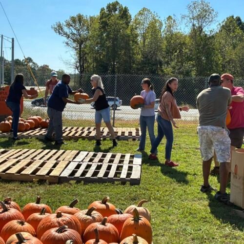 Setting Up For 2025 Pumpkin Patch