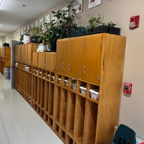 Preschool hallway